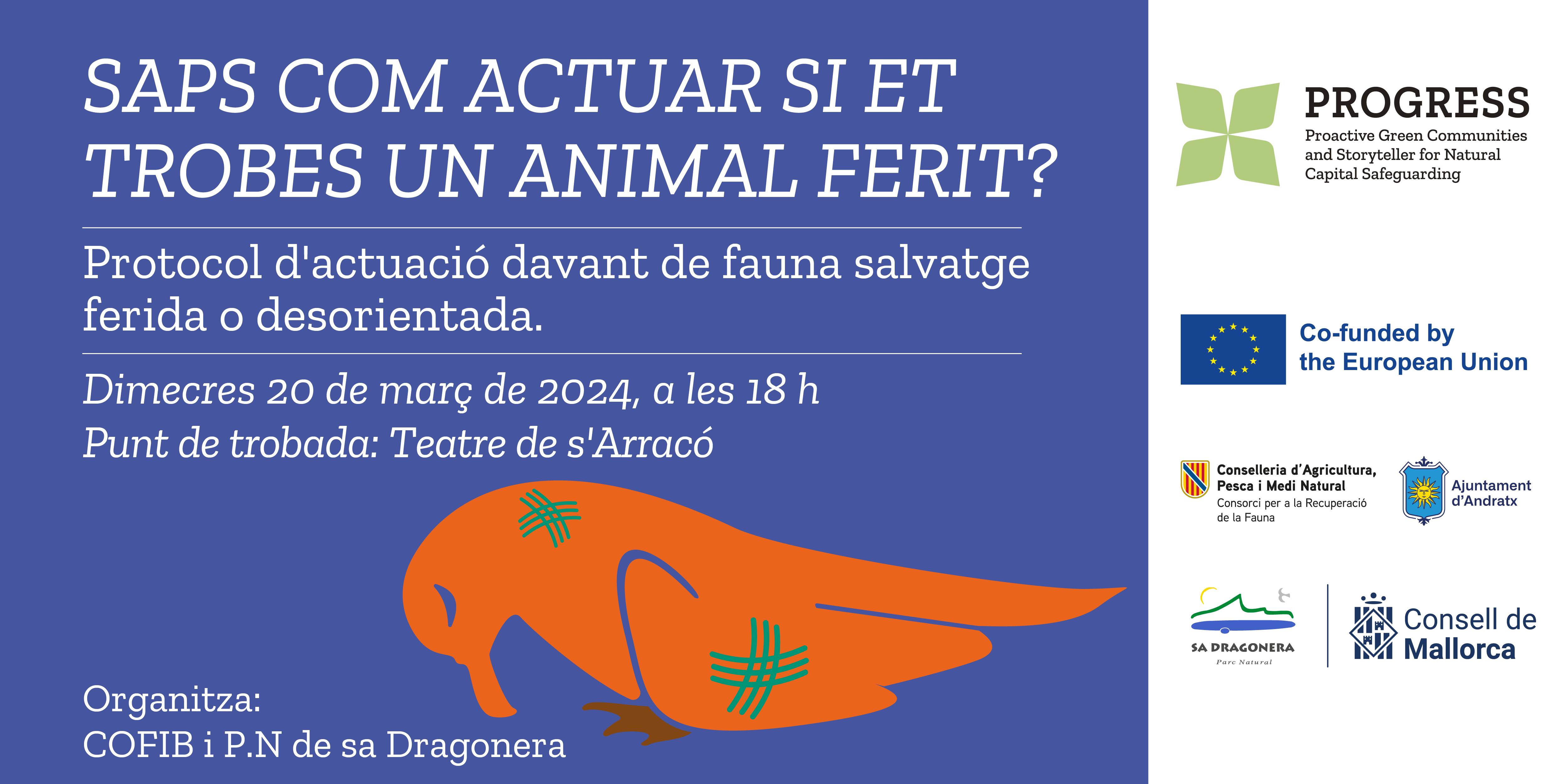 Saps com actuar si et trobes un animal ferit?