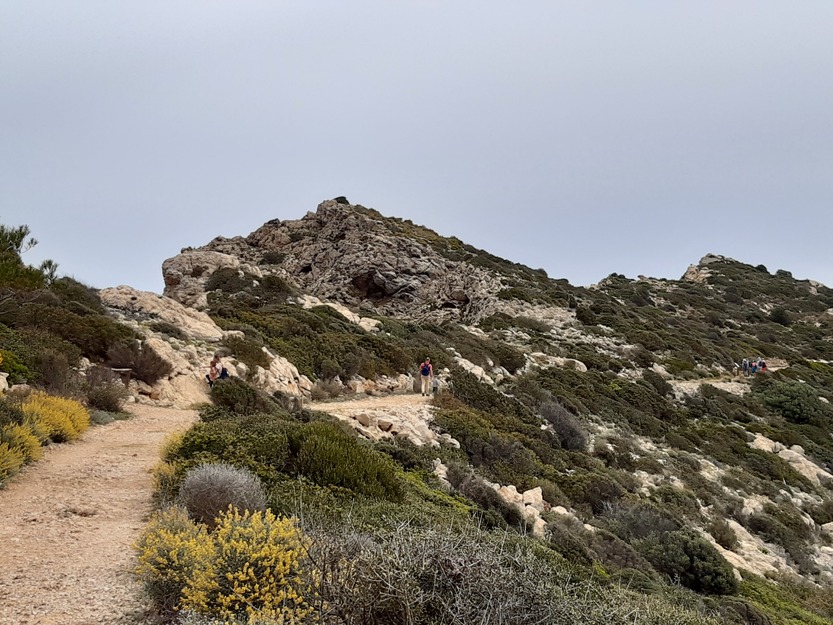 Camí al Far de Tramuntana