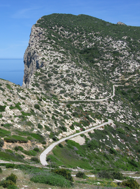 Camí al Far de Llebeig