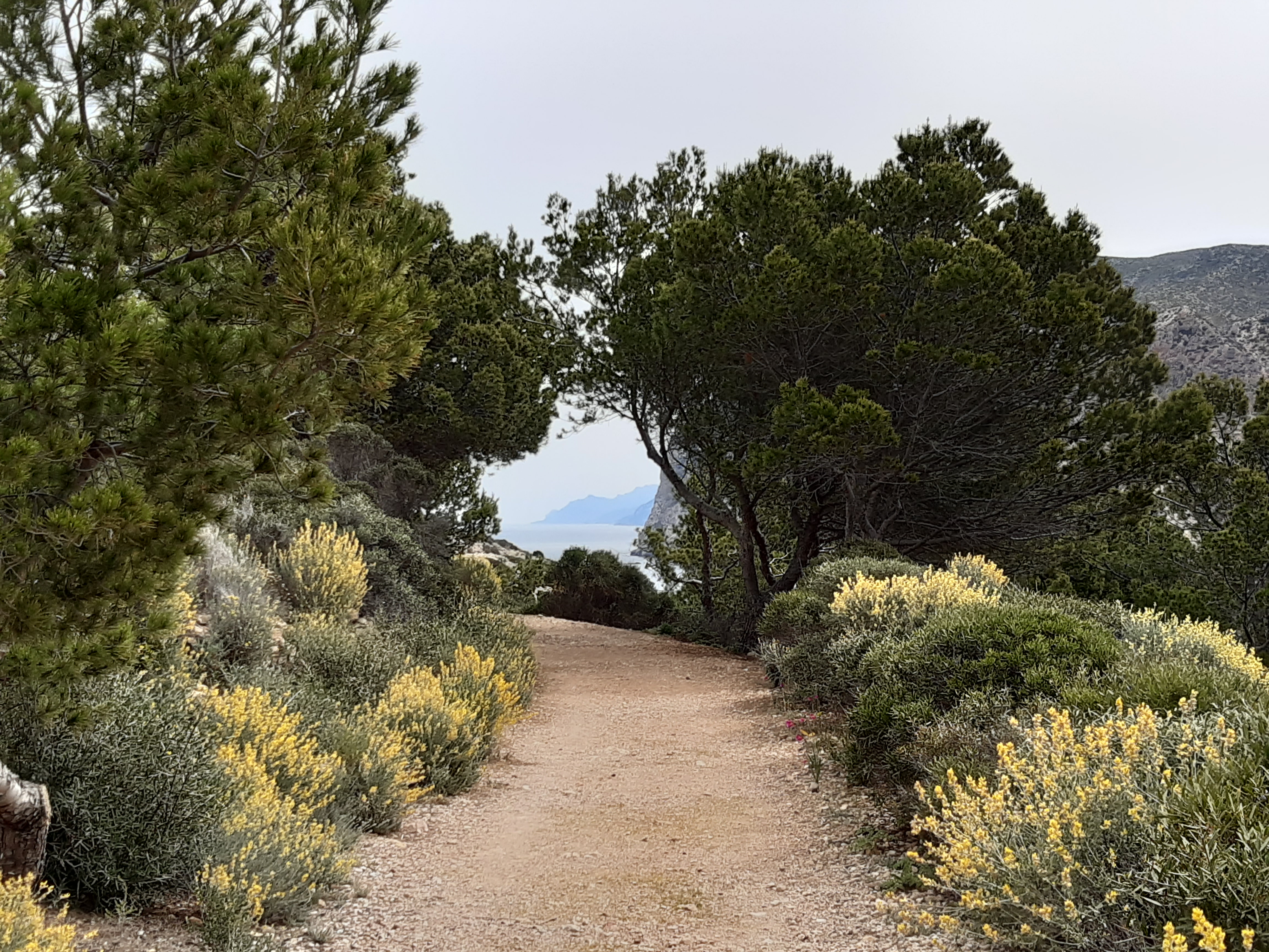 Camí del far de Tramuntana