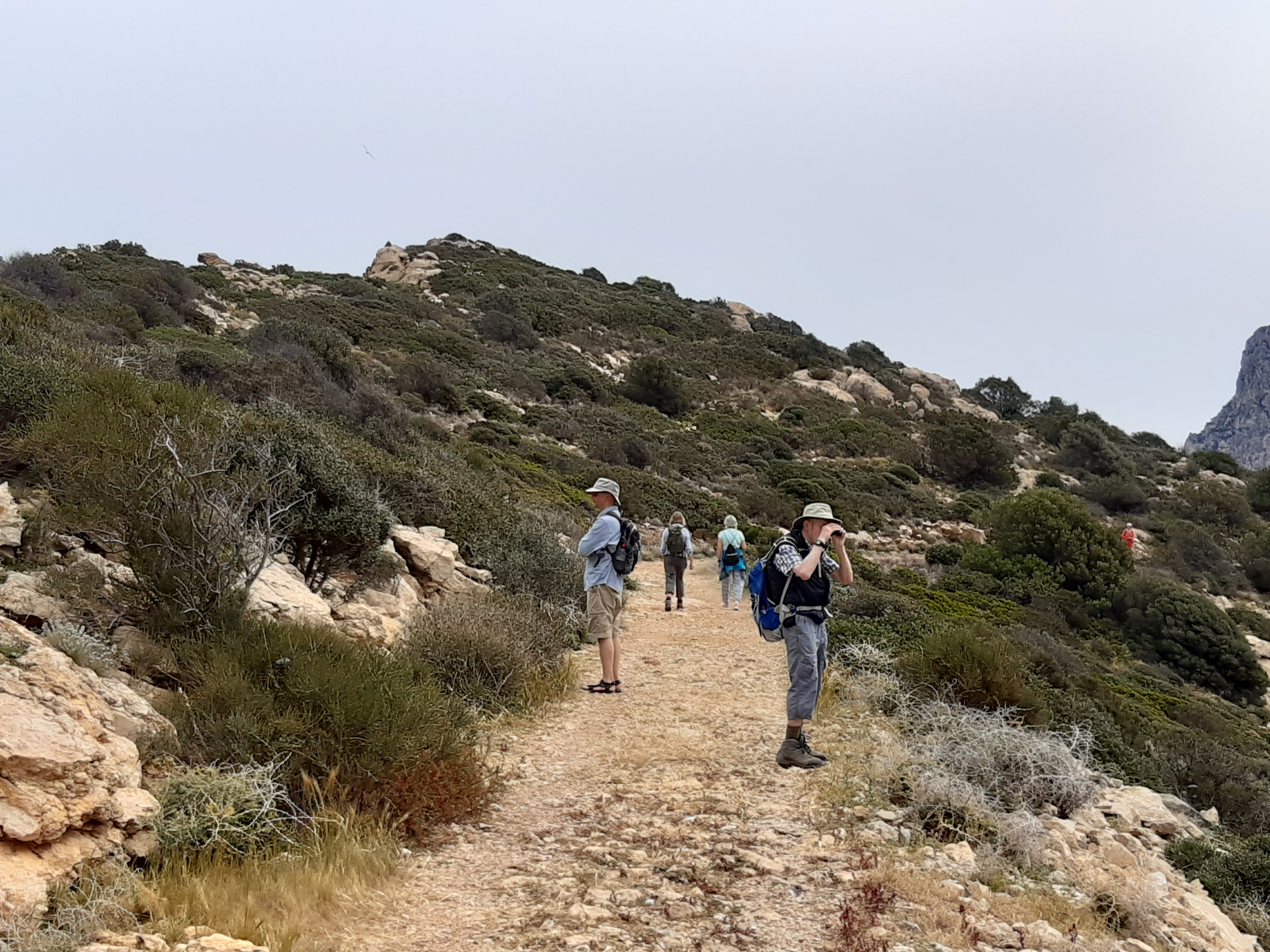 Camino del faro de Tramuntana