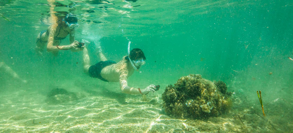 Observadors del mar