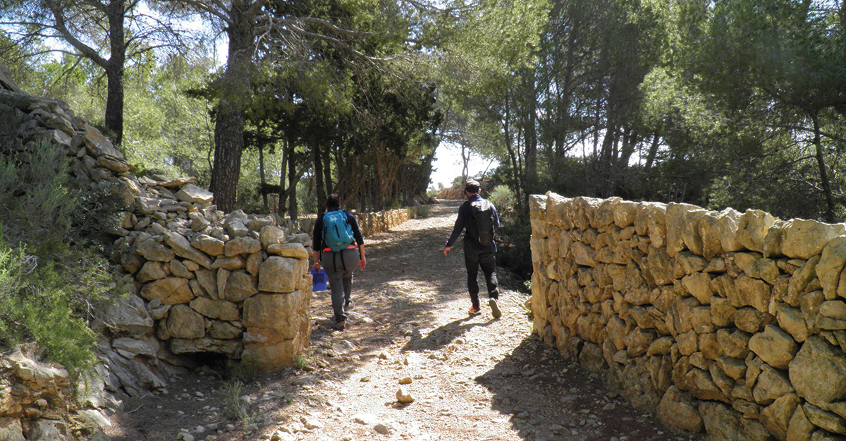 Pedra en sec a l'itinerari 2