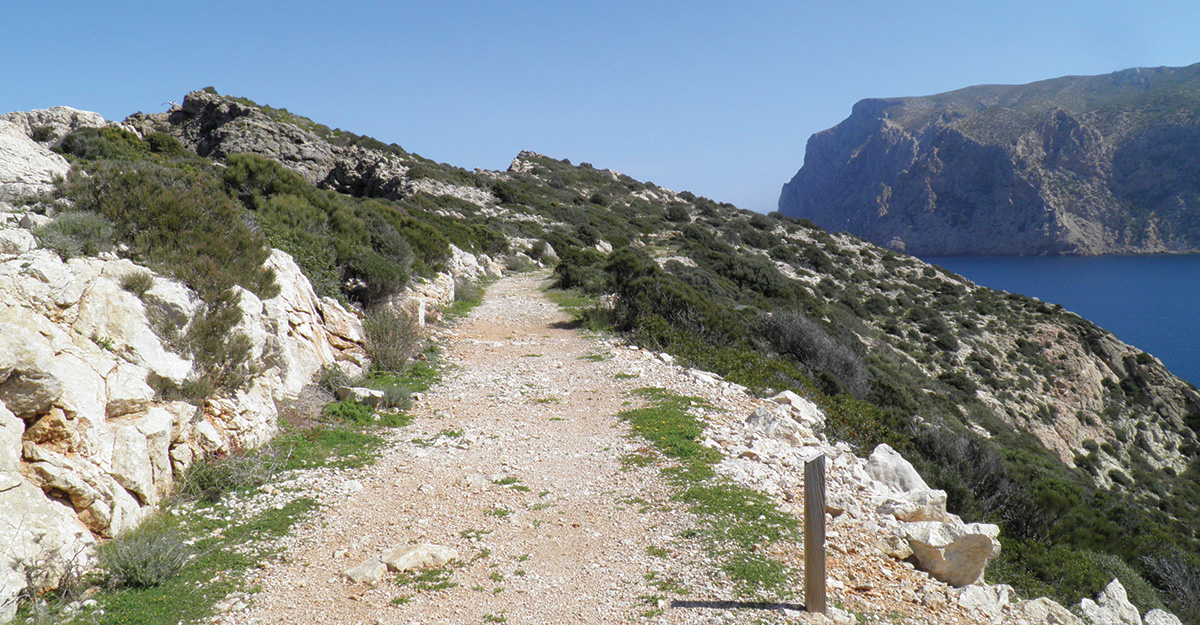 Camí al far de Tramuntana