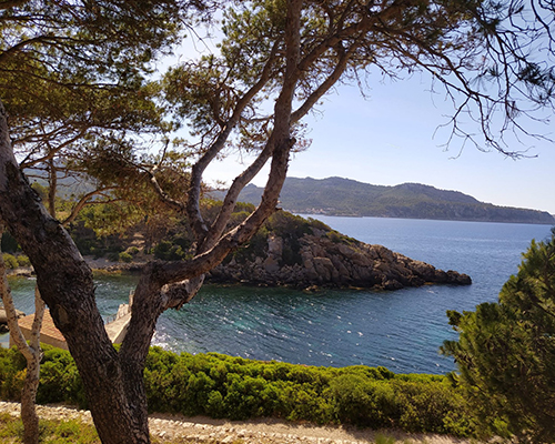 Cala en Lledó